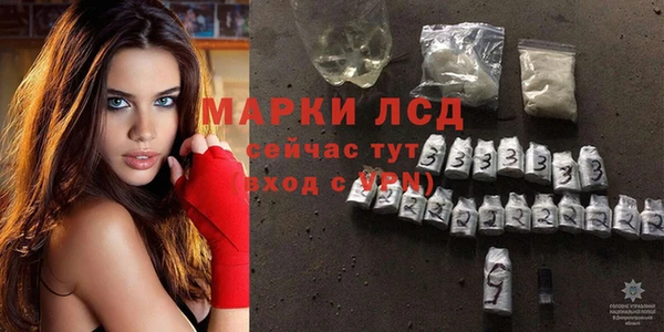 винт Алзамай