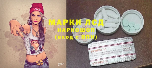 винт Алзамай