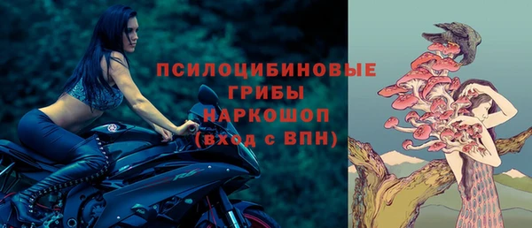 винт Алзамай