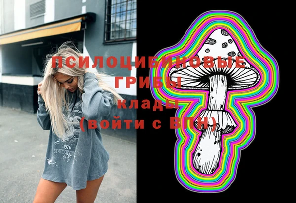 винт Алзамай