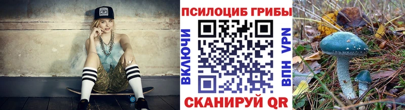 Галлюциногенные грибы Psilocybe  Железногорск-Илимский 